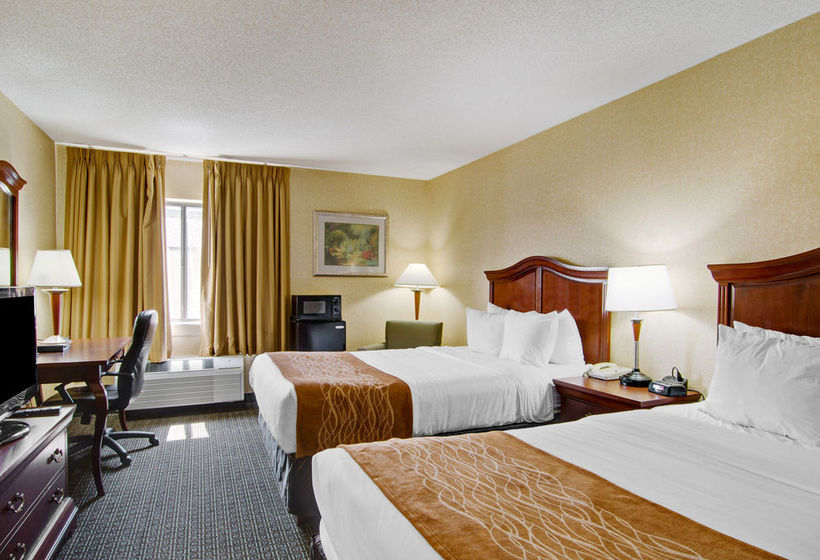 Hotel Comfort Inn  | Harrisonburg | Virginia | United States 5