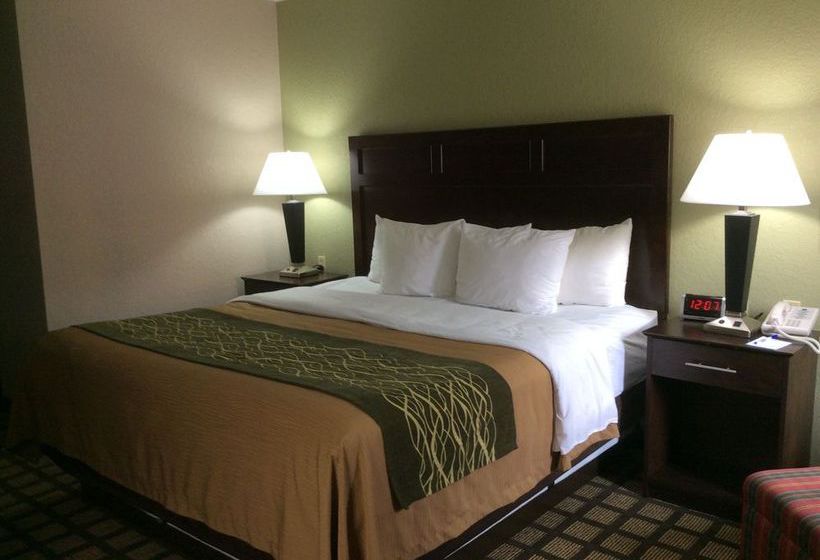 Hotel Comfort Inn Ames  | Ames | Iowa | United States 5