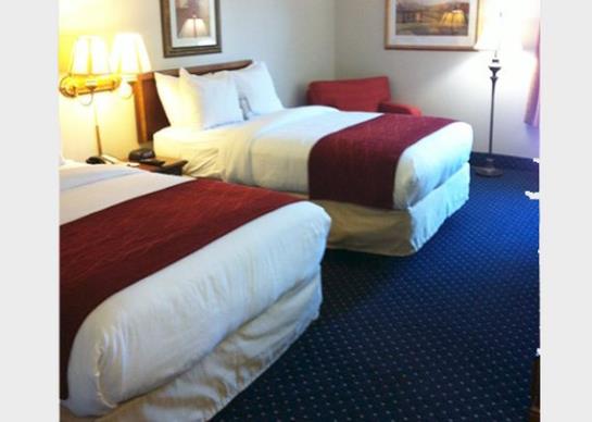 Hotel Comfort Inn  | Laurinburg | North Carolina | United States 16