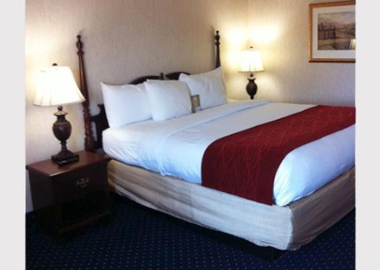 Hotel Comfort Inn  | Laurinburg | North Carolina | United States 18