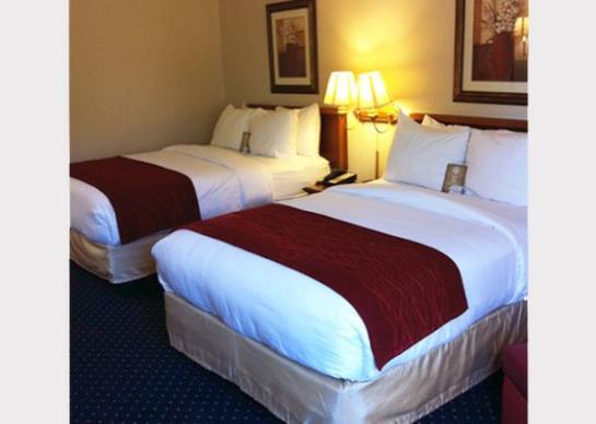 Hotel Comfort Inn  | Laurinburg | North Carolina | United States 19