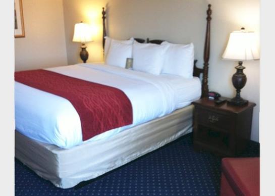 Hotel Comfort Inn  | Laurinburg | North Carolina | United States 20