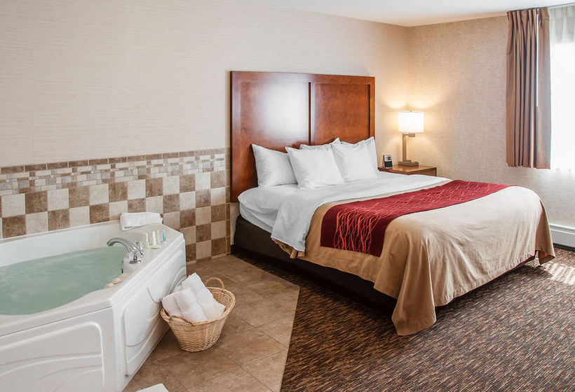 Hotel Comfort Inn  | Dickinson | North Dakota | United States 8