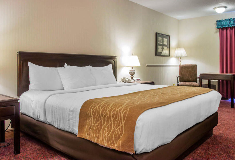 Hotel Comfort Inn  | Mackinaw City | Michigan | United States 11