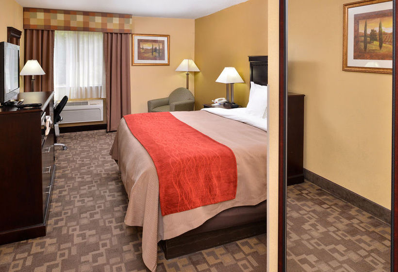 Hotel Comfort Inn  | Asheboro | North Carolina | United States 9