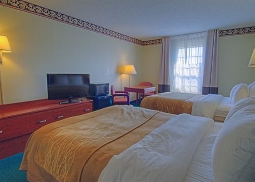 Hotel Comfort Inn Stephens City  | Stephens City | Virginia | United States 4