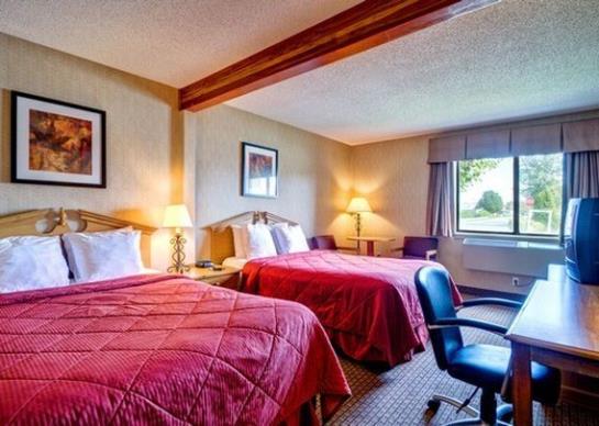 Hotel Comfort Inn Salisbury  | Salisbury | Maryland | United States 3