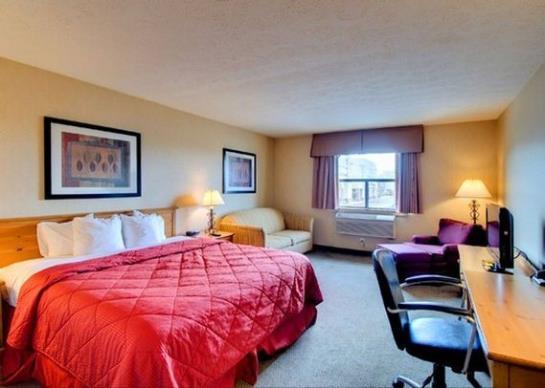 Hotel Comfort Inn Salisbury  | Salisbury | Maryland | United States 5