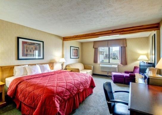 Hotel Comfort Inn Salisbury  | Salisbury | Maryland | United States 8