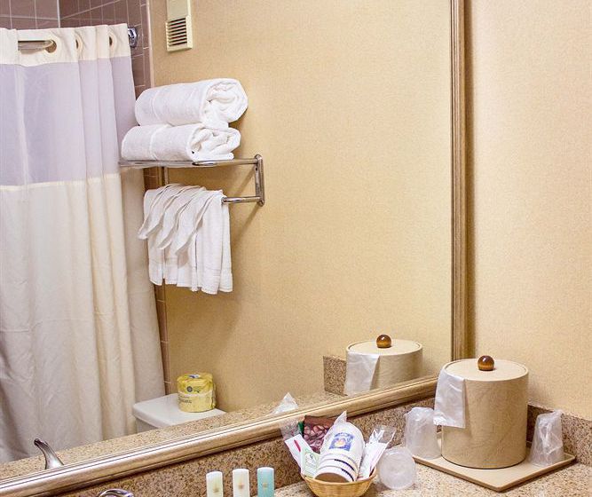Hotel Comfort Inn Ballston  | Arlington | Virginia | United States 13