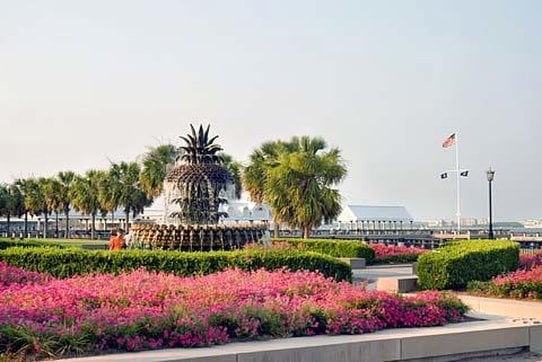 Hotel Comfort Inn Charleston  | Charleston | South Carolina | United States 15