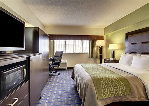 Hotel Comfort Inn Charleston  | Charleston | South Carolina | United States 19