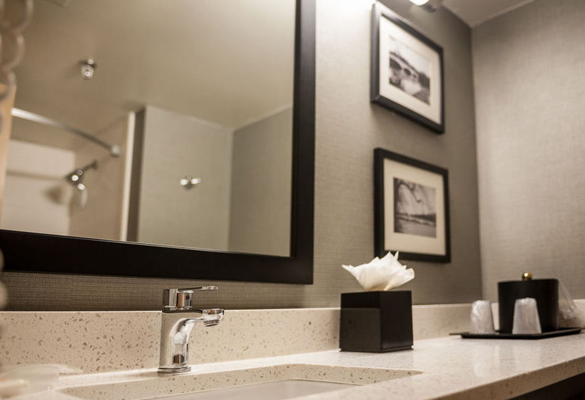 Hotel Holiday Inn Princeton  | Princeton | New Jersey | United States 8