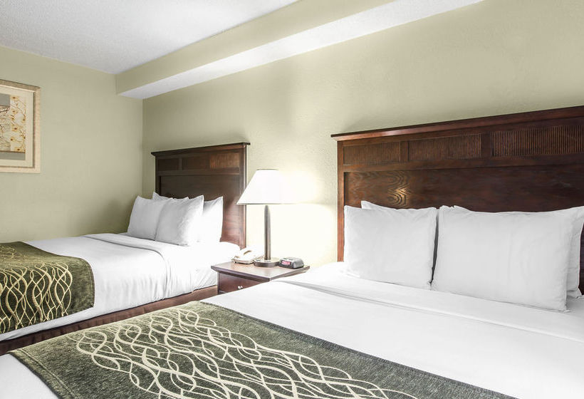 Hotel Comfort Inn Warner Robins Air Force Base  | Warner Robins | Georgia | Hotel negli Stati Uniti 20