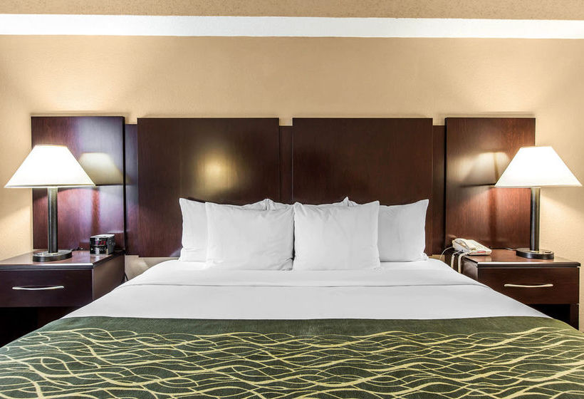 Hotel Comfort Inn Warner Robins Air Force Base  | Warner Robins | Georgia | Hotel negli Stati Uniti 8