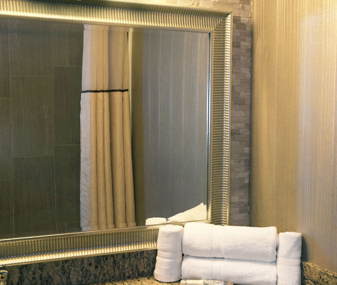 Hotel Days Inn Detroit Metropolitan Airport  | Romulus | Michigan | United States 8