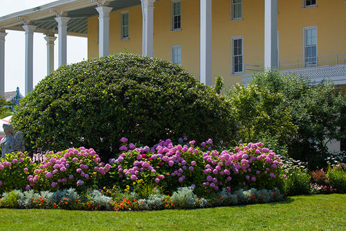 Congress Hall Hotel  | Cape may Court House | Nueva Jersey | Estados Unidos 19
