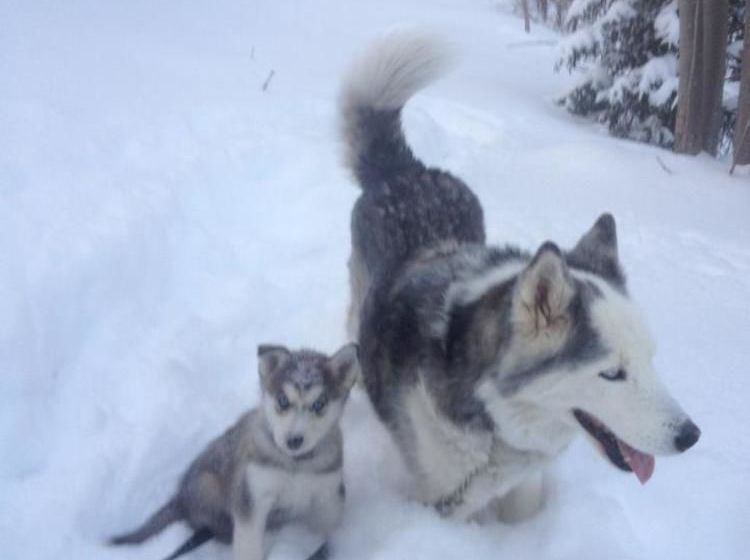 Cortina Inn & Resort  | Killington | Vermont | United States 6