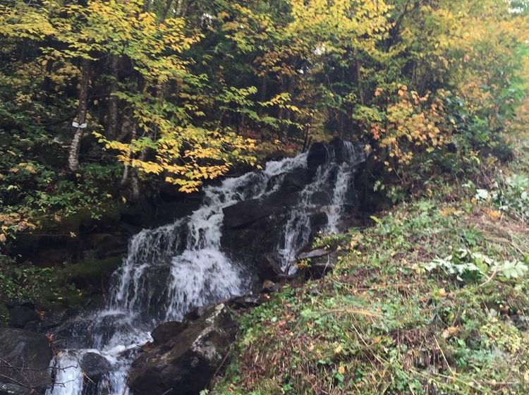 Cortina Inn & Resort  | Killington | Vermont | United States 7