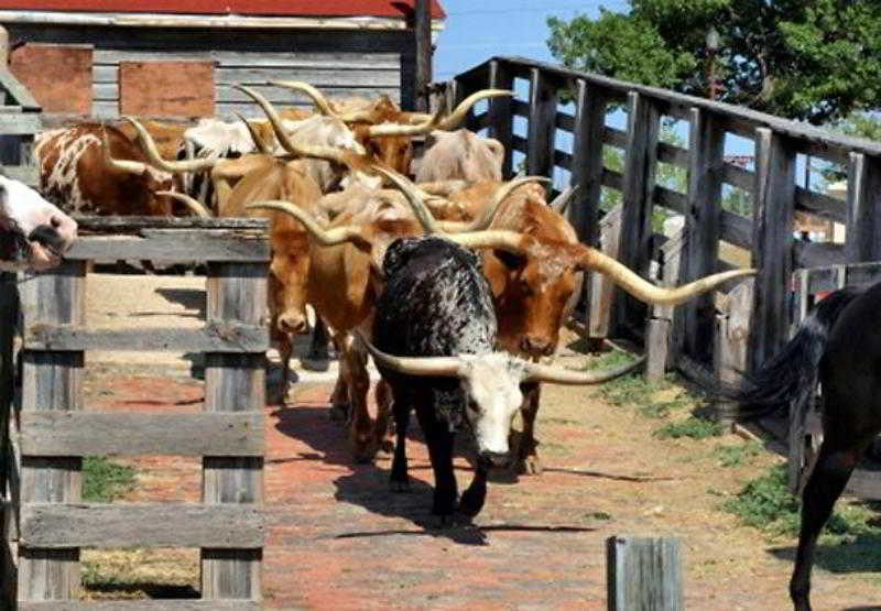 Hotel Courtyard Dallas DFW Airport West Bedford  | Fort Worth | Texas | United States 7