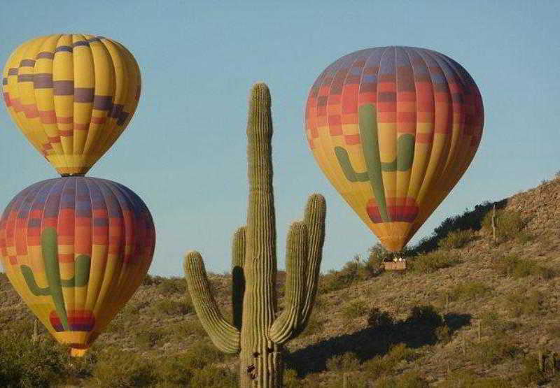 Hotel Courtyard Phoenix North  | Phoenix | Arizona | United States 19