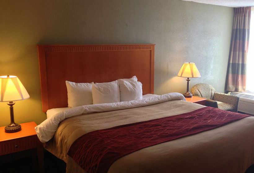 Hotel Comfort Inn Millennium  | Greenville | South Carolina | United States 10