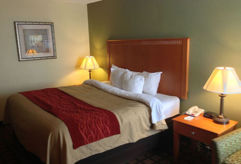 Hotel Comfort Inn Millennium  | Greenville | South Carolina | United States 12
