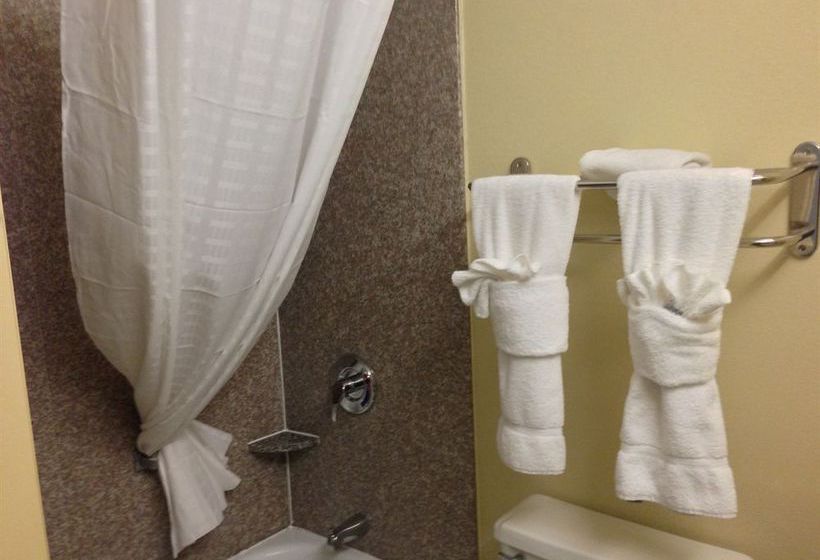 Hotel Comfort Inn Millennium  | Greenville | South Carolina | United States 13