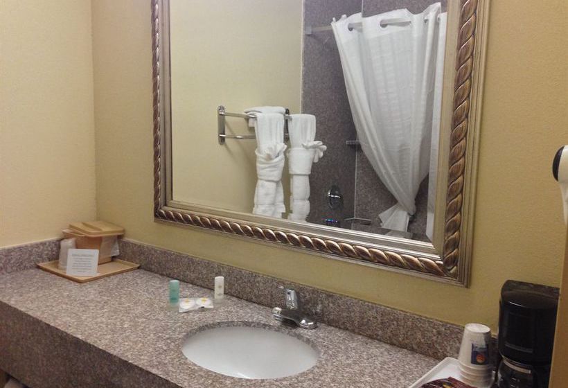 Hotel Comfort Inn Millennium  | Greenville | South Carolina | United States 8