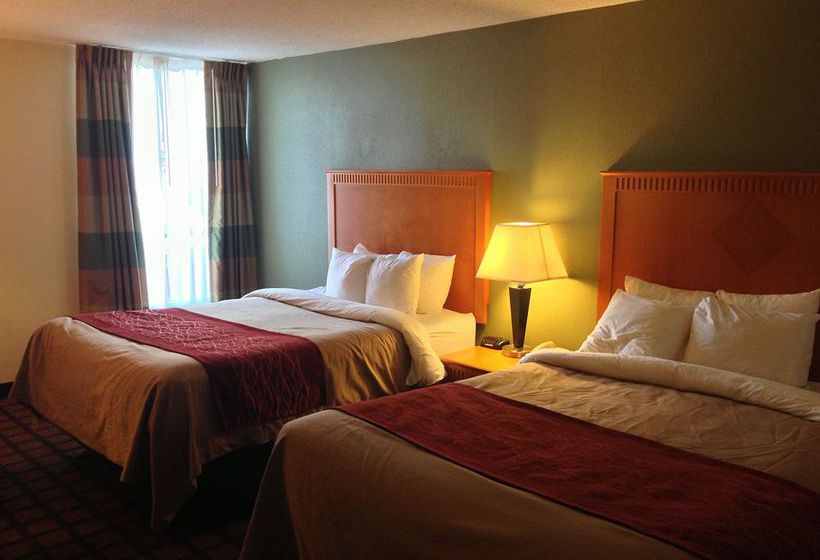 Hotel Comfort Inn Millennium  | Greenville | South Carolina | United States 9