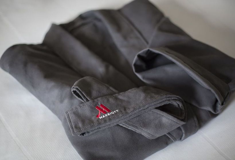 Hotel Dallas Fort Worth Airport Marriott Texas