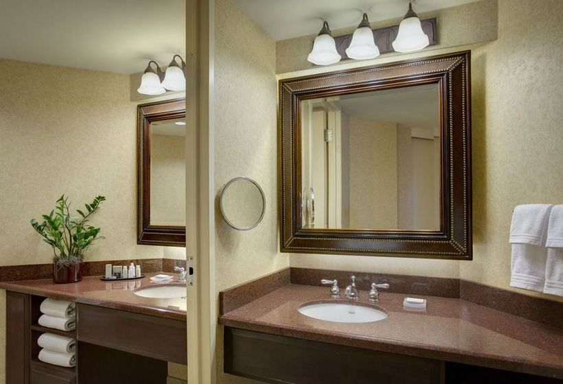 Hotel Dallas Fort Worth Airport Marriott  | Irving | Texas | United States 1