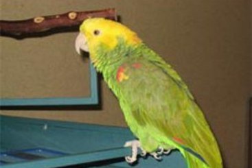 Hotel Days Inn Grand Haven  | Grand Haven | Michigan | United States 6