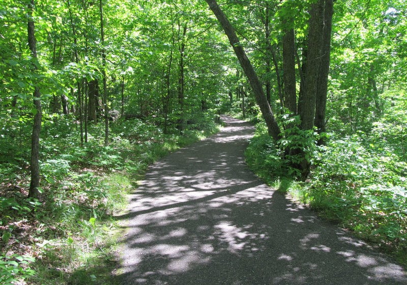 Hotel Best Western Bemidji Inn Minnesota