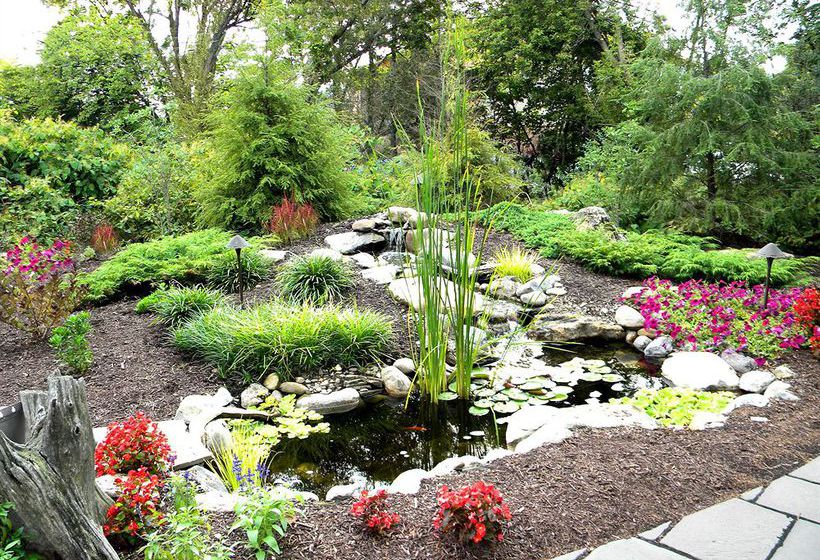 Hotel Holiday Inn Express Altoona   | Altoona | Pennsylvania | United States 4