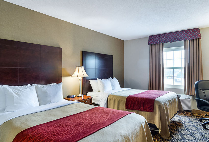 Hotel Comfort Inn Boston Rockland  | Rockland | Massachusetts | Estados Unidos 4