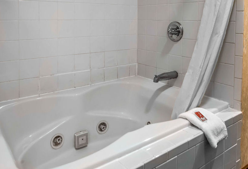 Hotel Econo Lodge Hannibal  | Hannibal | Missouri | United States 17