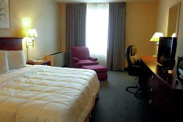 Hotel English Inn of Charlottesville  | Charlottesville | Virginia | Estados Unidos 1