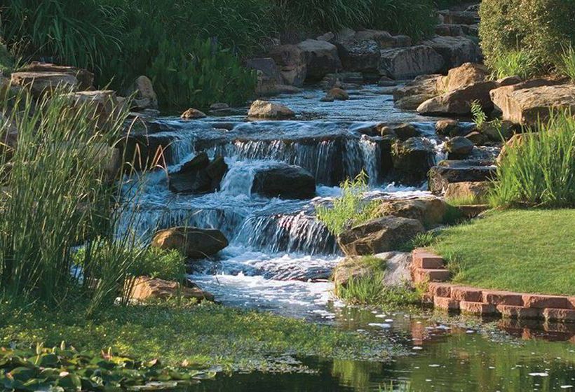 Resort Four Seasons Dallas at Las Colinas  | Irving | Texas | United States 4