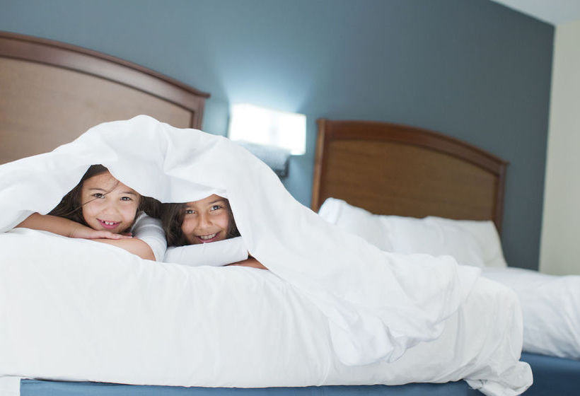 Stay Inn Chicago Schaumburg Hotel  | Schaumburg | Illinois | United States 13