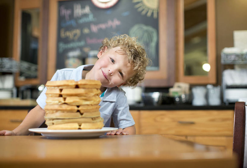Stay Inn Chicago Schaumburg Hotel  | Schaumburg | Illinois | United States 3