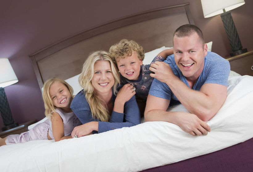 Stay Inn Chicago Schaumburg Hotel  | Schaumburg | Illinois | United States 8