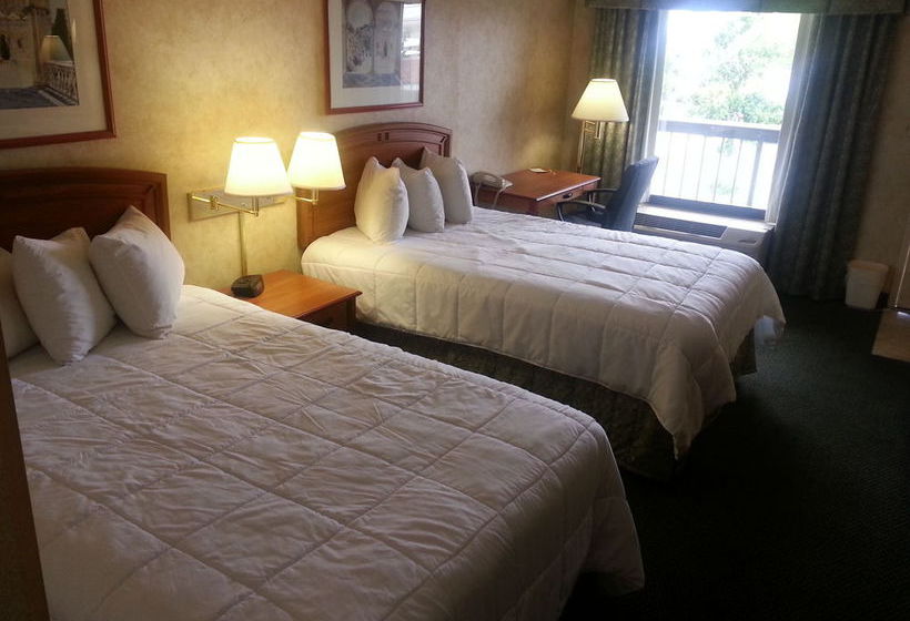 Hotel Days Inn & Suites Albuquerque North  | Albuquerque | New Mexico | United States 3