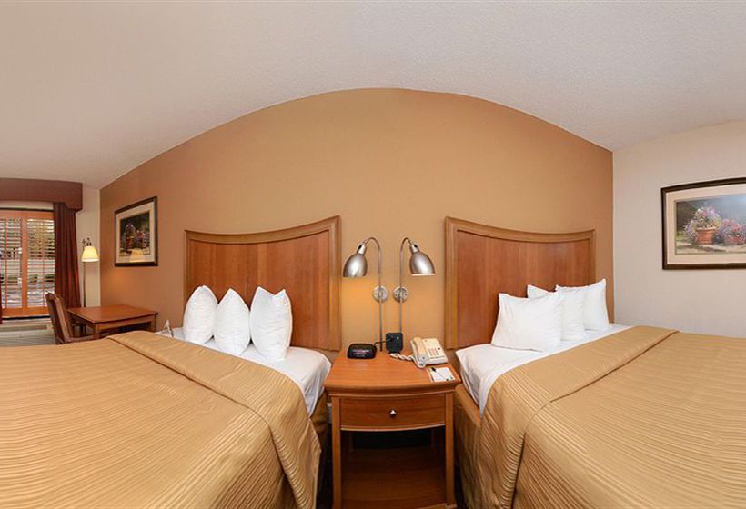 Hotel Quality Inn Chapel Hill  | Chapel Hill | North Carolina | United States 5