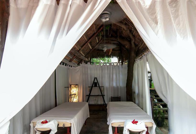 Hotel Blue Parrot Fifth Avenue  | Playa del Carmen | Quintana Roo | México 1