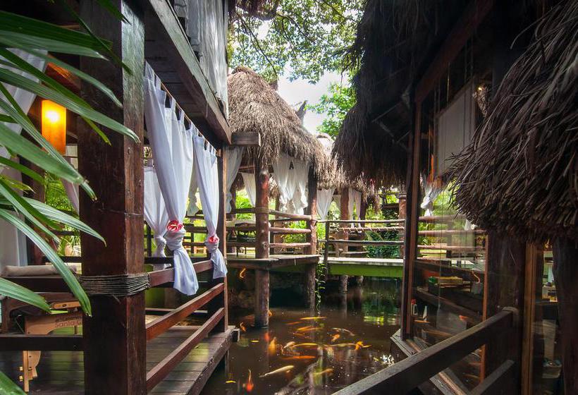 Hotel Blue Parrot Fifth Avenue  | Playa del Carmen | Quintana Roo | México 2