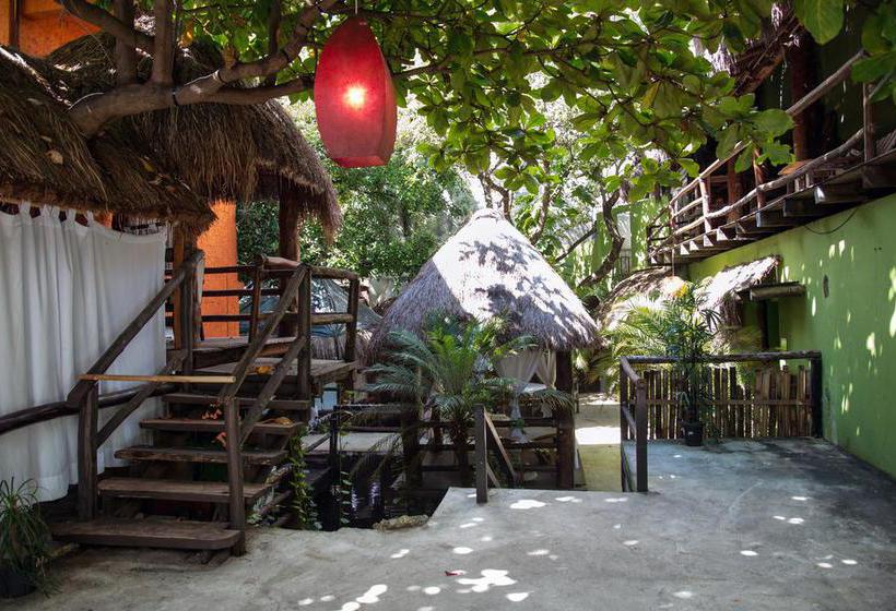 Hotel Blue Parrot Fifth Avenue  | Playa del Carmen | Quintana Roo | México 3