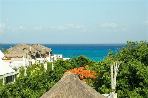Hotel Lunata  | Playa del Carmen | Quintana Roo | México 10