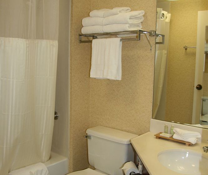 Hotel Stay Inn Chicago-Lombard  | Lombard | Illinois | United States 10
