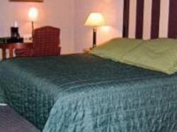 Hotel Hampton Inn  | Matteson | Illinois | United States 4